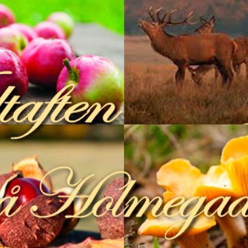 Vildtaften Fredag