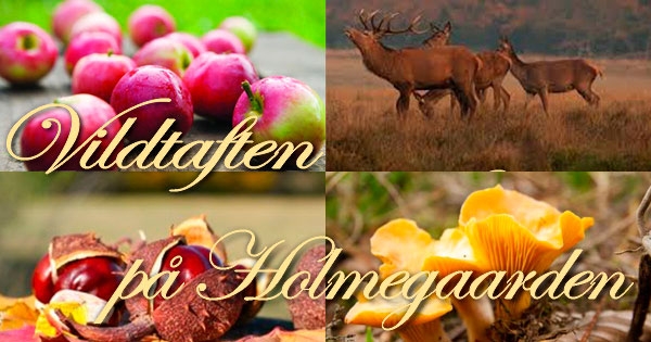 Vildtaften Fredag